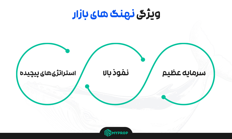 ویژگی های نهنگ های بازار دربازارهای مالی